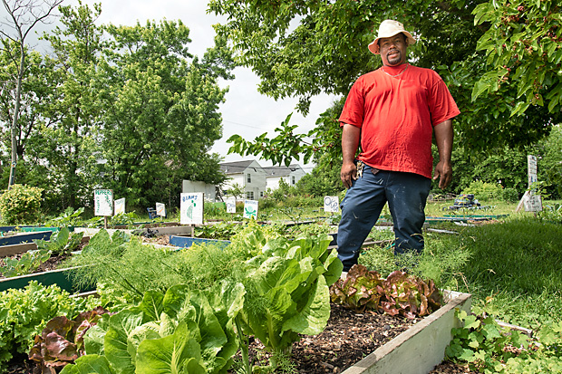 Georgia Street Community Garden Collective